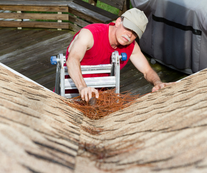 cleaning pine needles on roof.webp