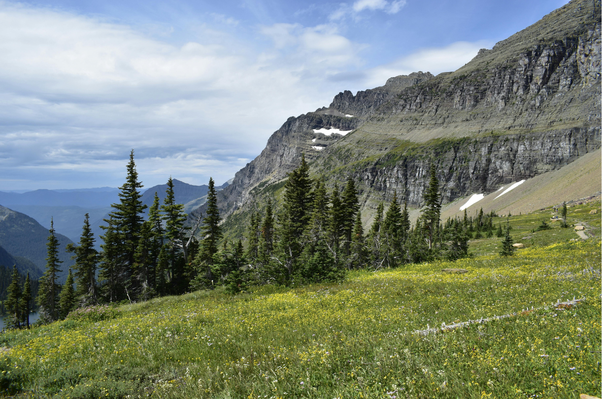 montana mountain